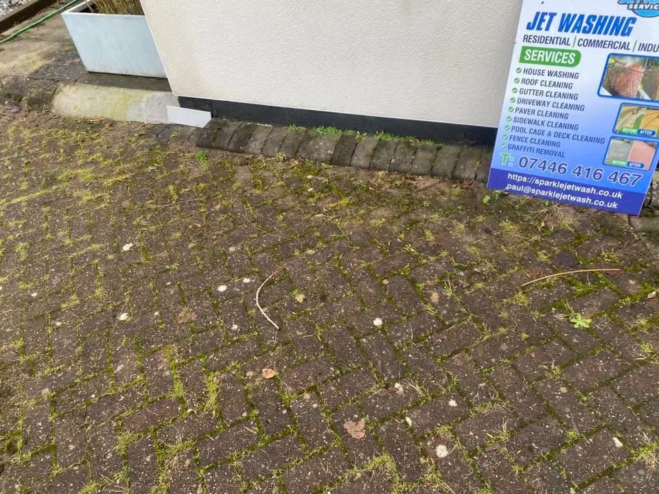 Weathered paved garden access route