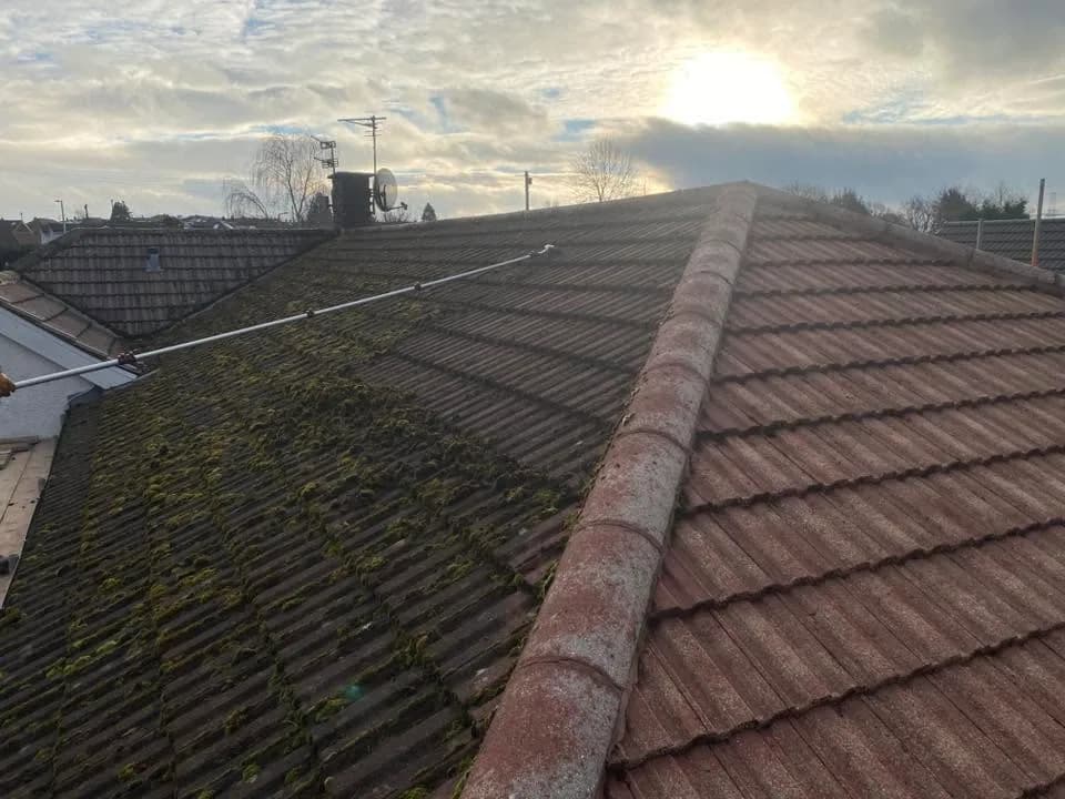 Pitched tile roof with widespread moss before cleaning
