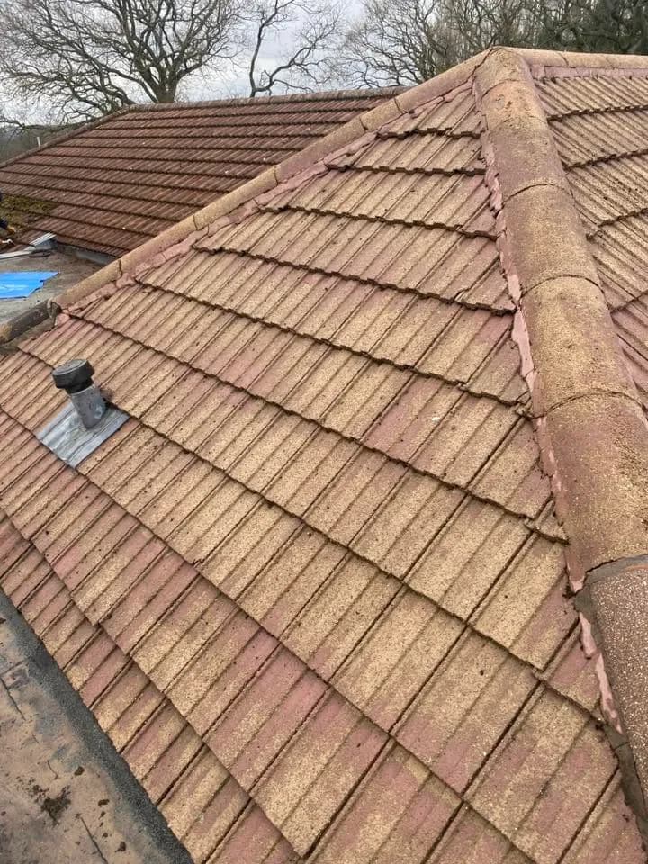 Cleaned section of pitched roof tiles